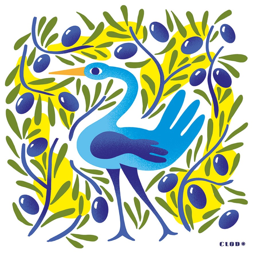 clod oiseau illustration